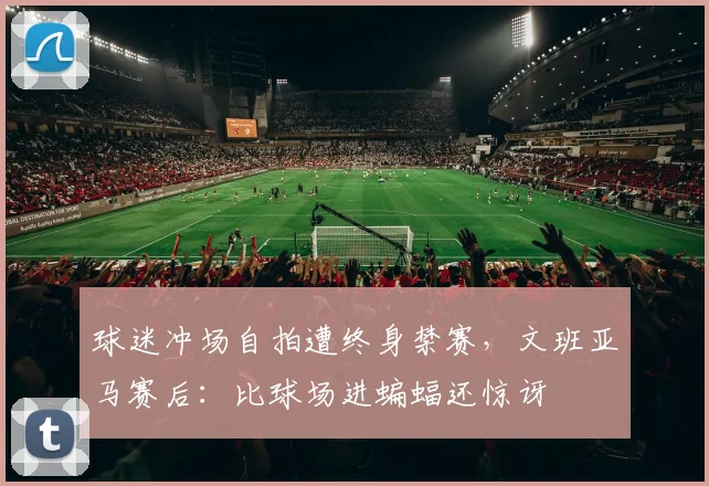 球迷冲场自拍遭终身禁赛，文班亚马赛后：比球场进蝙蝠还惊讶