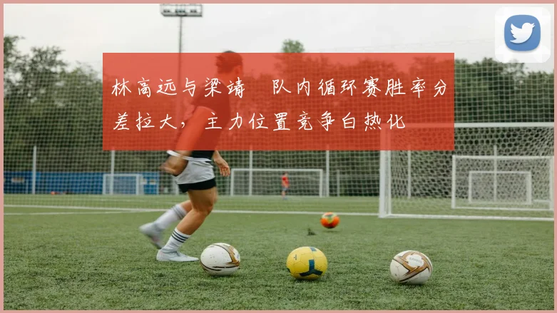 林高远与梁靖崑队内循环赛胜率分差拉大，主力位置竞争白热化